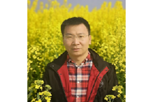 馮立綱 馮立綱
