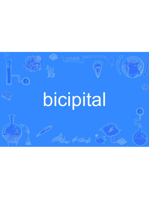 bicipital bicipital