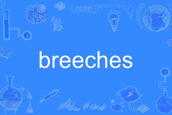breeches breeches