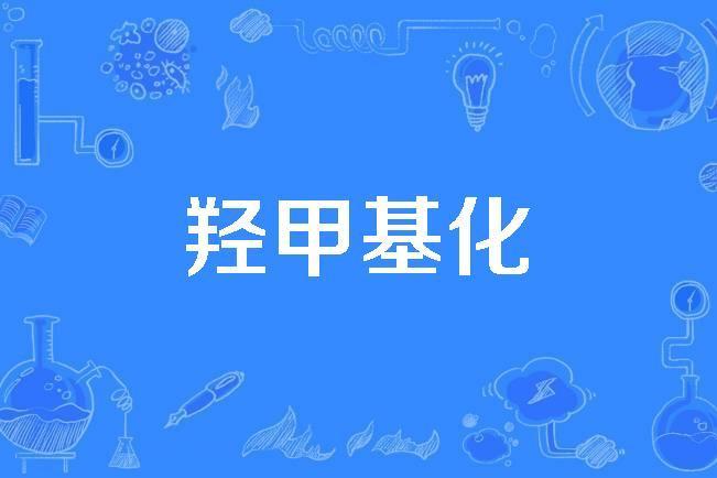 羥甲基化 羥甲基化