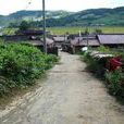南坎自然村(雲南滄源縣勐角鄉下轄村) 南坎自然村(雲南滄源縣勐角鄉下轄村)
