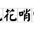 花花哨哨 花花哨哨