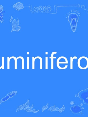 aluminiferous aluminiferous