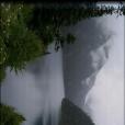 自然壁紙8 自然壁紙8