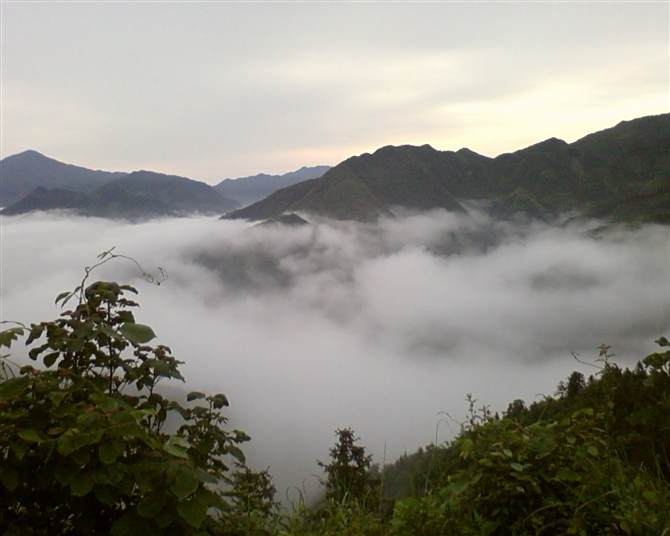 綠苔山 綠苔山