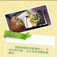 茶的妙用 茶的妙用