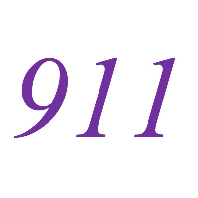 911(自然數之一)