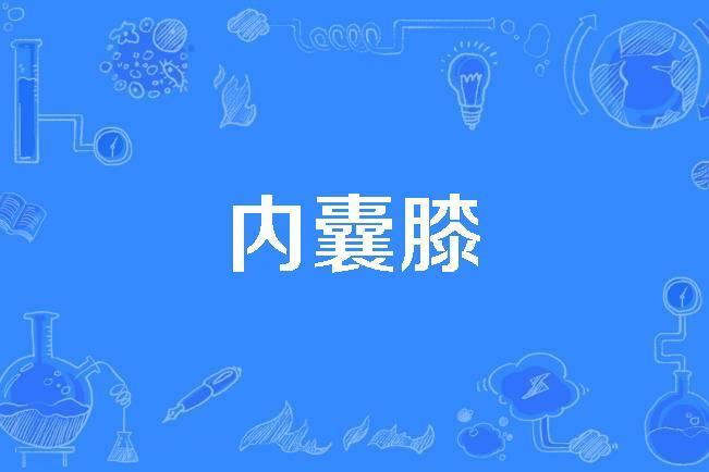 內囊膝 內囊膝