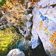 龍吟泉