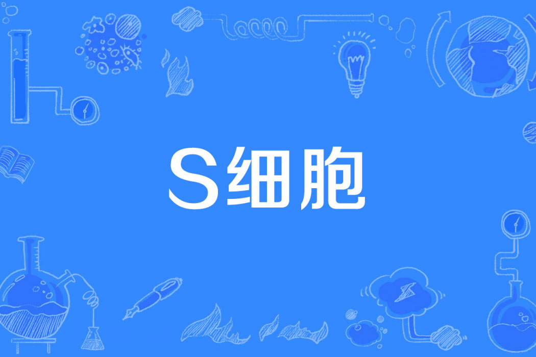 S細胞 S細胞