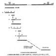 分子雜交