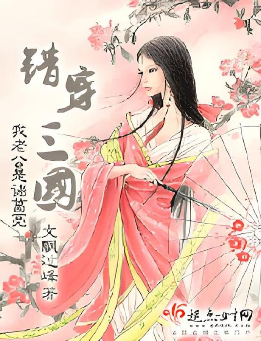 錯穿三國 錯穿三國