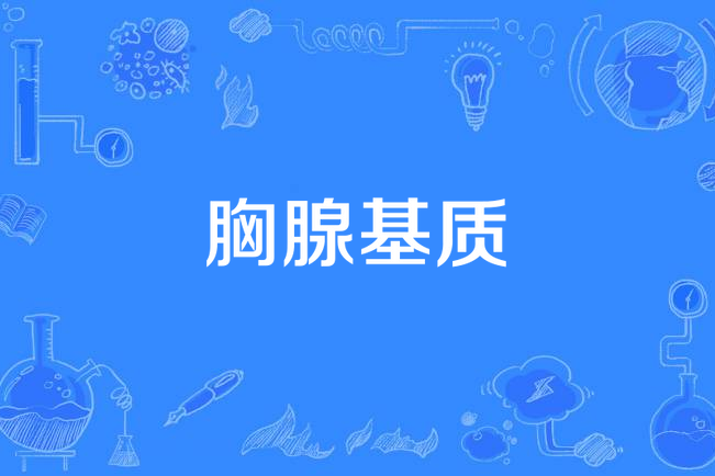 胸腺基質 胸腺基質