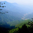 大隴鎮(井岡山市大隴鎮) 大隴鎮(井岡山市大隴鎮)
