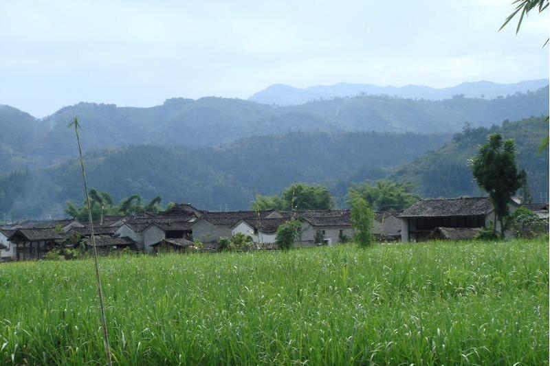小雲村(峨山縣富良棚鄉塔沖村民委員會下轄村) 小雲村(峨山縣富良棚鄉塔沖村民委員會下轄村)
