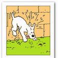 Milou Milou