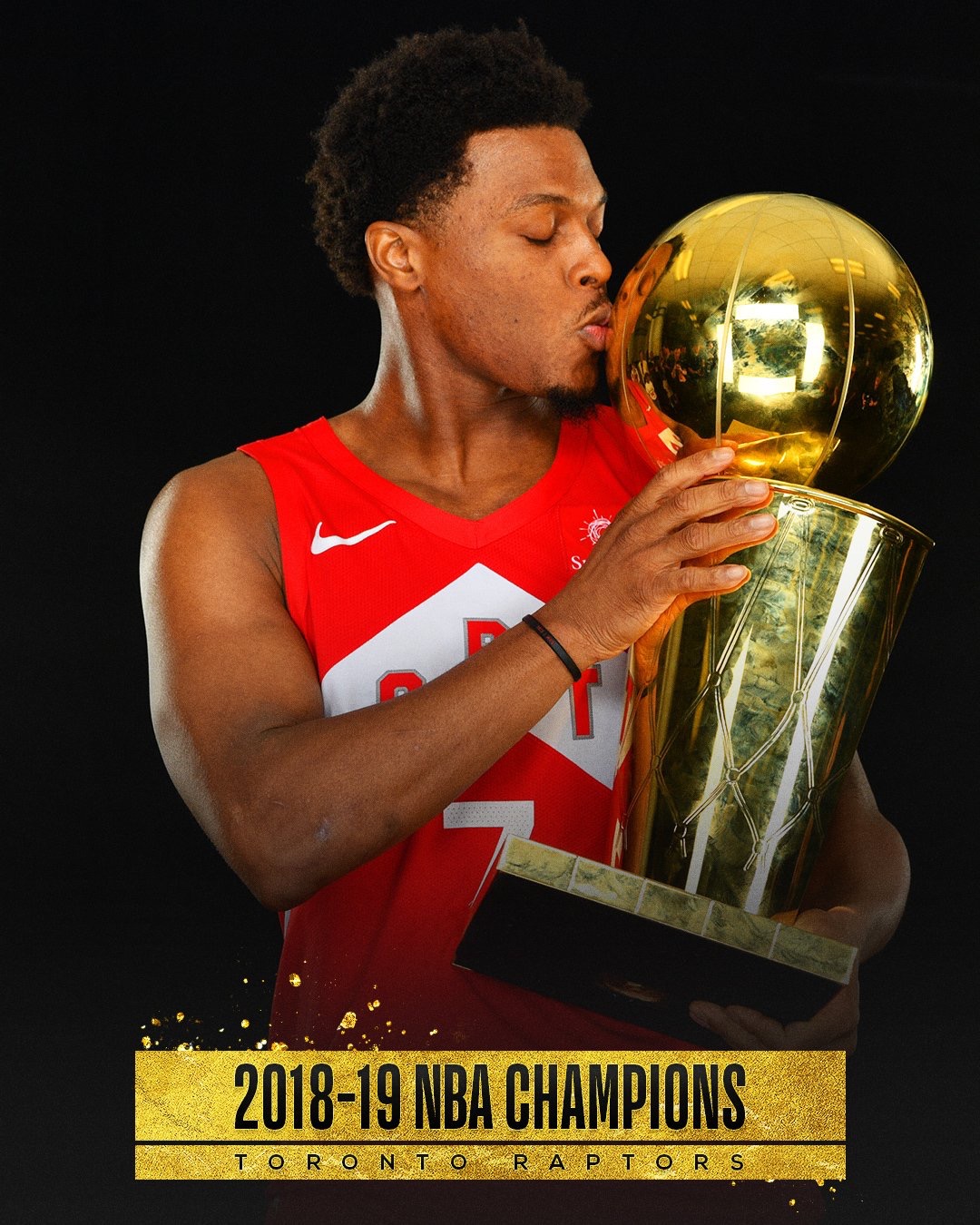 2018-19賽季NBA總冠軍