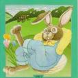 Hare and the Tortoise Little Book Hare and the Tortoise Little Book