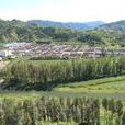 東帽灣村 東帽灣村