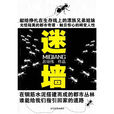 迷牆(2011新銳“晃蕩文學”都市小說)