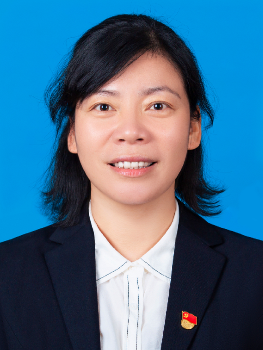 劉丁(陝西省渭南市澄城縣委常委、縣紀委書記,縣監察委員會主任) 劉丁(陝西省渭南市澄城縣委常委、縣紀委書記,縣監察委員會主任)