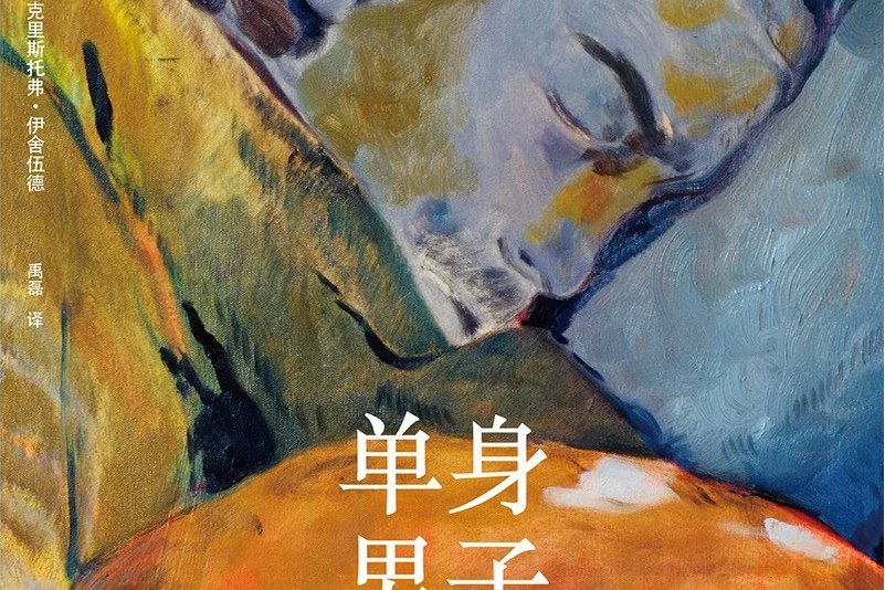 單身男子(2020年上海譯文出版社出版的圖書) 單身男子(2020年上海譯文出版社出版的圖書)