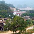白石坳村(浙江省瑞安市順泰鄉白石坳村) 白石坳村(浙江省瑞安市順泰鄉白石坳村)