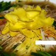 一品燕菜 一品燕菜