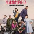生逢燦爛的日子(北京人在北京(2016年拍攝電視劇)) 生逢燦爛的日子(北京人在北京(2016年拍攝電視劇))