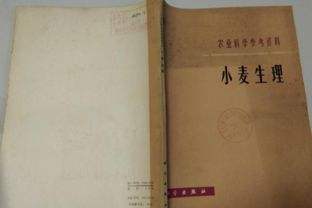 小麥生理 小麥生理