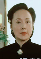 金粉世家(2003年陳坤、董潔主演電視劇)