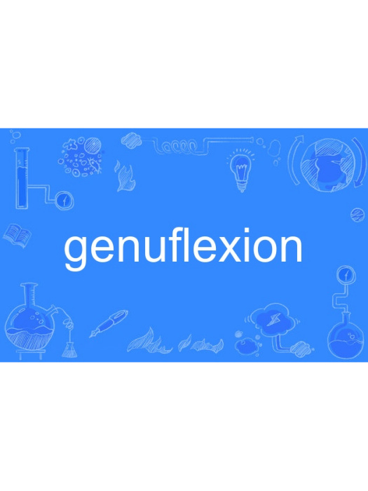 genuflexion genuflexion