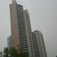 圓龍園 圓龍園