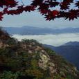 東豆川市 東豆川市