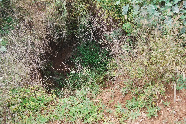 曉山墓地 曉山墓地
