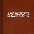 戰道蒼穹 戰道蒼穹