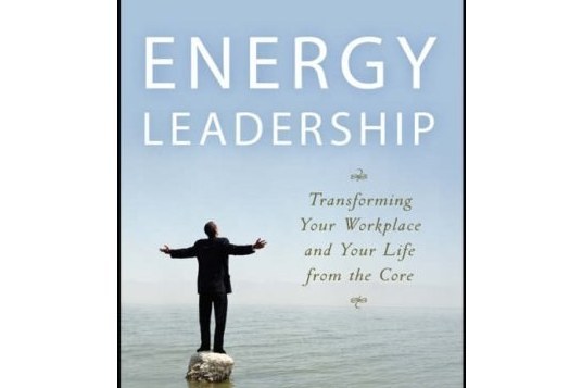 Energy Leadership Energy Leadership