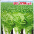 華良夏秋 華良夏秋