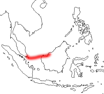 紅樹林招潮蟹(活動海域圖)