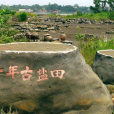 千年古鹽田 千年古鹽田