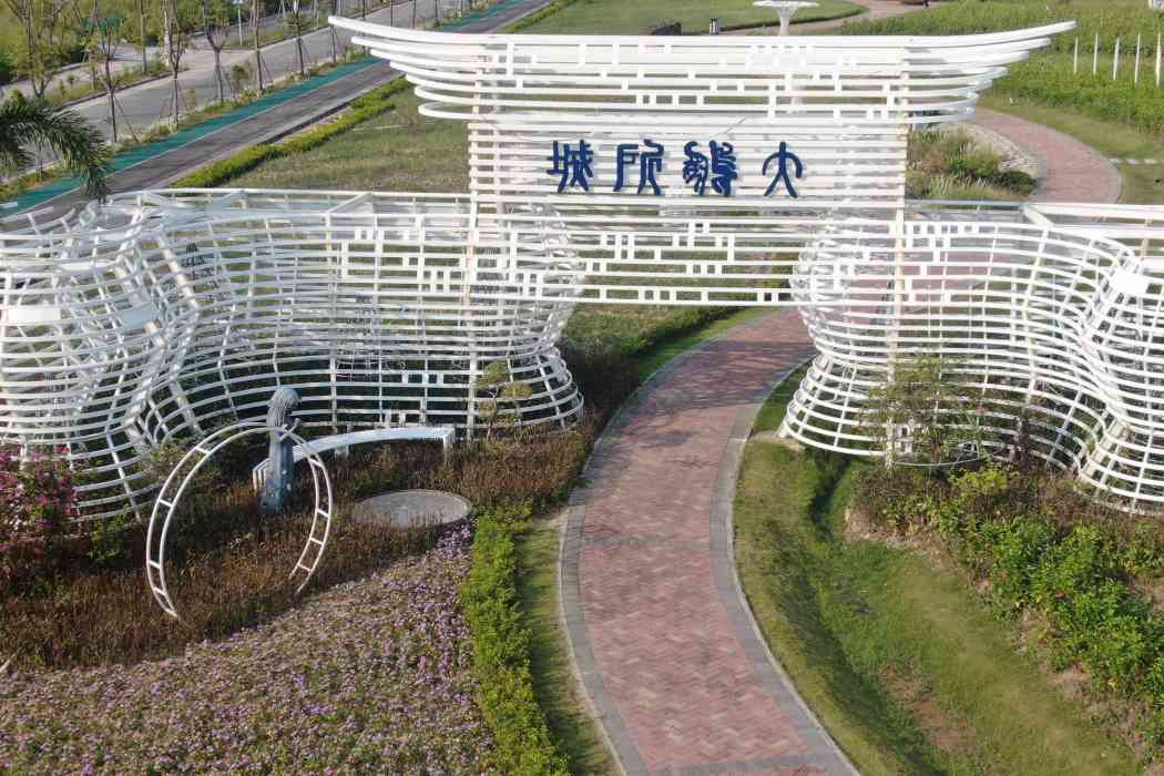 壩光花海 壩光花海