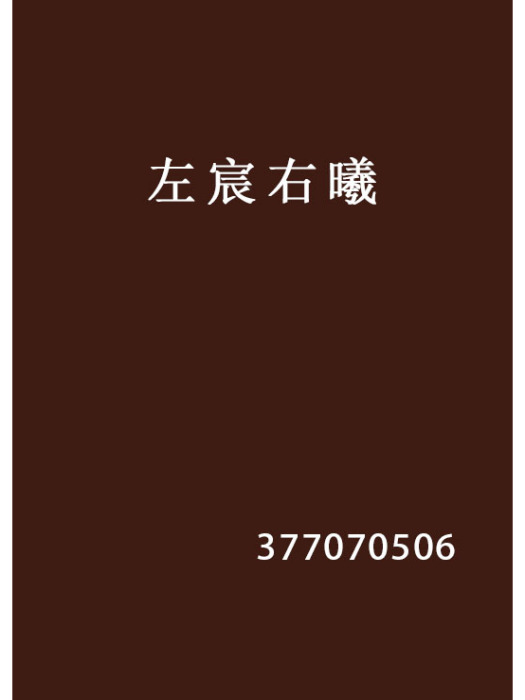 左宸右曦 左宸右曦