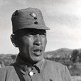 關書范 關書范
