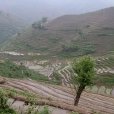 單東村(雲南省紅河州綠春縣戈奎鄉單東村) 單東村(雲南省紅河州綠春縣戈奎鄉單東村)