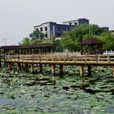 西塘村(福建省福州市永泰縣東洋鄉下轄村) 西塘村(福建省福州市永泰縣東洋鄉下轄村)