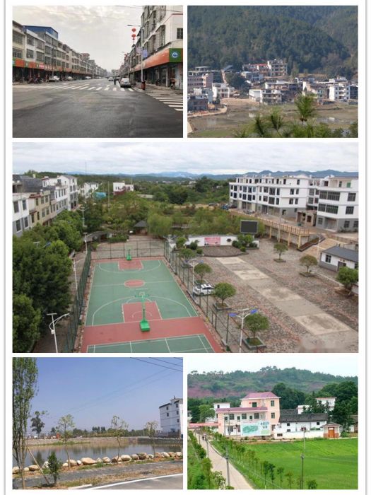 龍華鎮(江西省贛州市南康區下轄鎮)