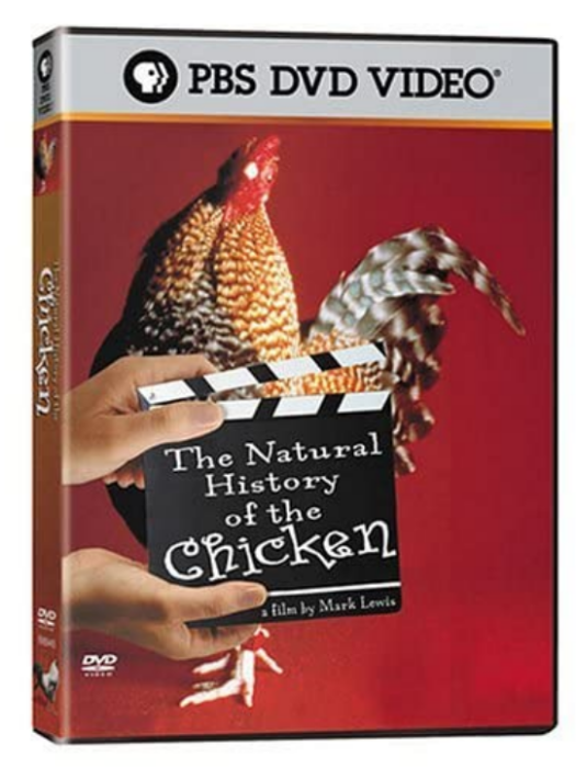 The Natural History of the Chicken The Natural History of the Chicken