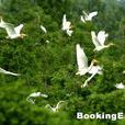 洪澤農場鳥類自然保護區