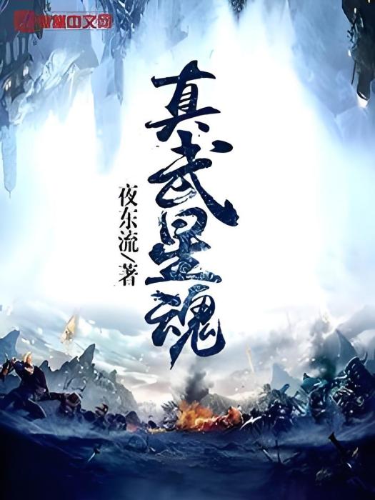 真武星魂 真武星魂