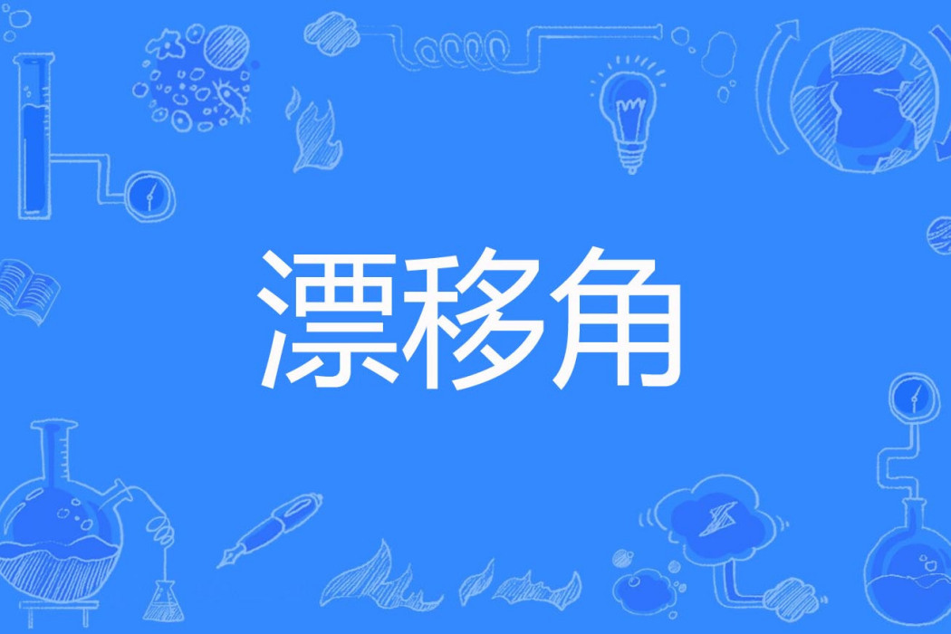 漂移角